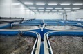 Media Палуба: Как живой краб из Баренцева моря попадает в Китай?