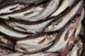 FORBES: Печаль минтая: рынок замер из-за обвала оптовых цен на рыбу после закрытия Китая